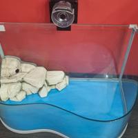 Tartarughiera - acquario per tartarughe