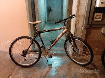mountain bike d