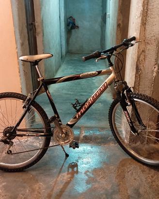 mountain bike d