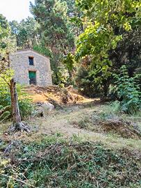 Piccoli rustici con terreno