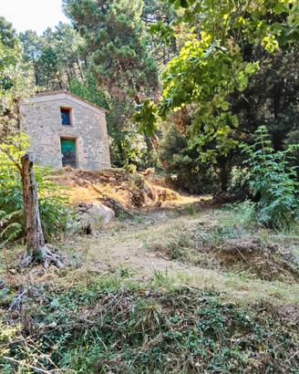 Piccoli rustici con terreno