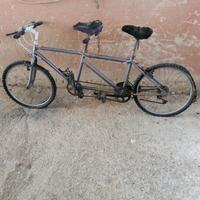 bicicletta a 2 posti