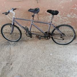 bicicletta a 2 posti