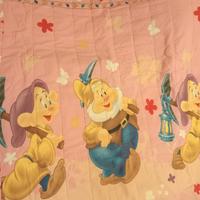 TRAPUNTA 100% COTONE UNA PIAZZA DISNEY SETTE NANI