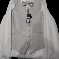 Gilet, papillon e plastron