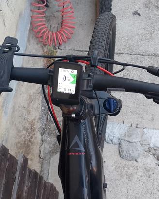 bicicletta MTB taglia L anno 2023 MOENA 