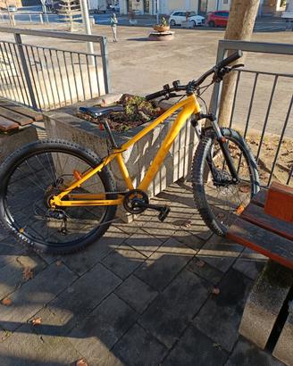 bicicletta 