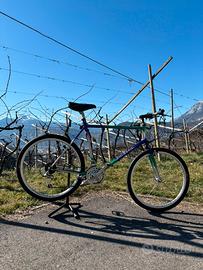 Colnago Master rampichino