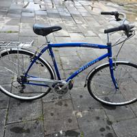 Bicicletta Specialized Crossroads