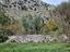Immagine 19
