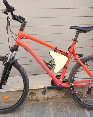 bicicletta