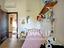 Immagine 20