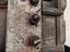 Immagine 3