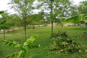 Terreno Residenziale Isola Vicentina