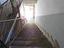 Immagine 7