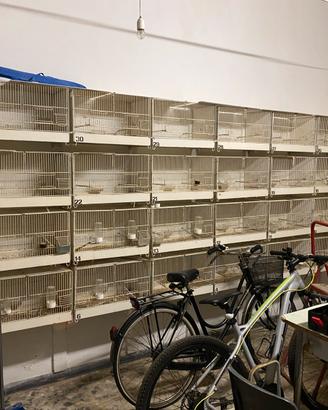 Gabbie e Voliere  per Canarini