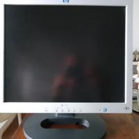 Monitor HP 19'