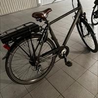 Bici elettrica Lombardo