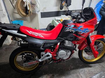 HONDA DOMINATOR