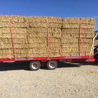 Paglia di grano duro