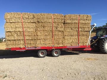 Paglia di grano duro