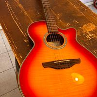 Chitarra acustica Takamine