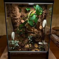 Terrario Tropicale 30x30x45