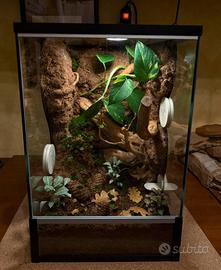 Terrario Tropicale 30x30x45