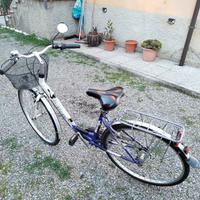 City bike 28 Lady Bottecchia Life 