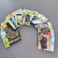 Collezione schede animali vintage 