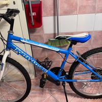 Bicicletta del Napoli prezzo trattabile