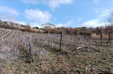 Terreno agricolo vocato