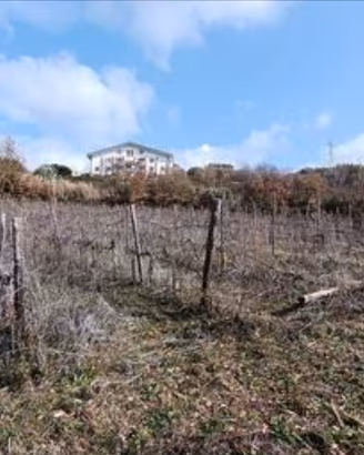 Terreno agricolo vocato