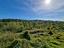 Immagine 10