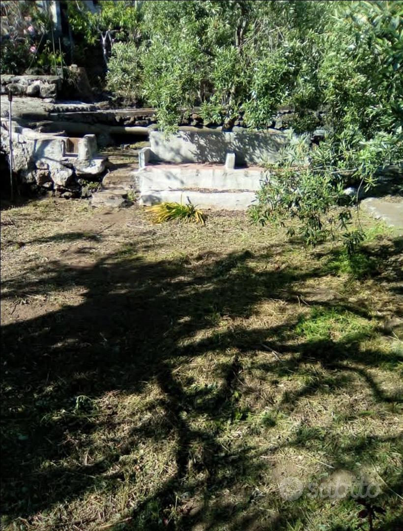 Terreno agricolo - Vista 4