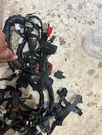 Una pianta elettrica x max 300 2018/2022