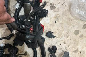 Una pianta elettrica x max 300 2018/2022