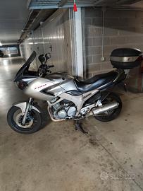 Yamaha TDM 900 - 2004