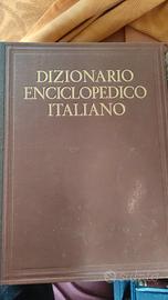 Dizionario Enciclopedico Italiano Treccani 14 vol 