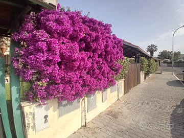 Villino Santa Marinella