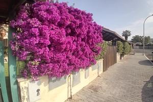 Villino Santa Marinella