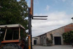 Muletto verticale cosmag 15 quintali