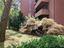 Immagine 26
