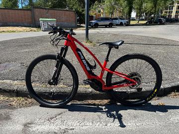 bicicletta elettrica FM Bike modello The Animal