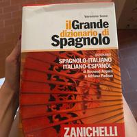 Dizionario