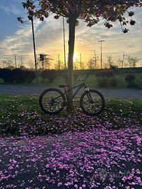 bicicletta wheele
