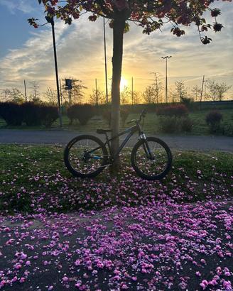 bicicletta wheele