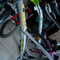 Bici muntain bike 29 in buonissime condizioni