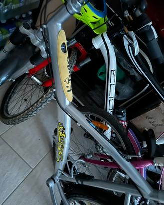 Bici muntain bike 29 in buonissime condizioni