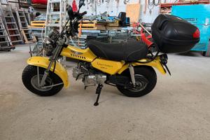 Suzuki G Puma Van Van 125